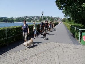Spaziergang dogs sportcenter