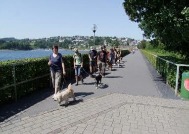 Spaziergang dogs sportcenter