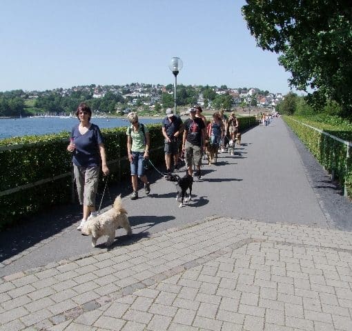 Spaziergang dogs sportcenter