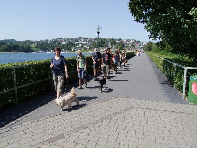 Klimaschutz auf vier Pfoten 1 HundeFaktenCheck Spaziergang dogs sportcenter